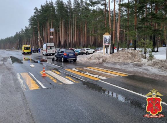 Два смертельных ДТП в Ленобласти устроили водители-пенсионеры одного года рождения, оба — на «Сузуки» и оба любили погонять