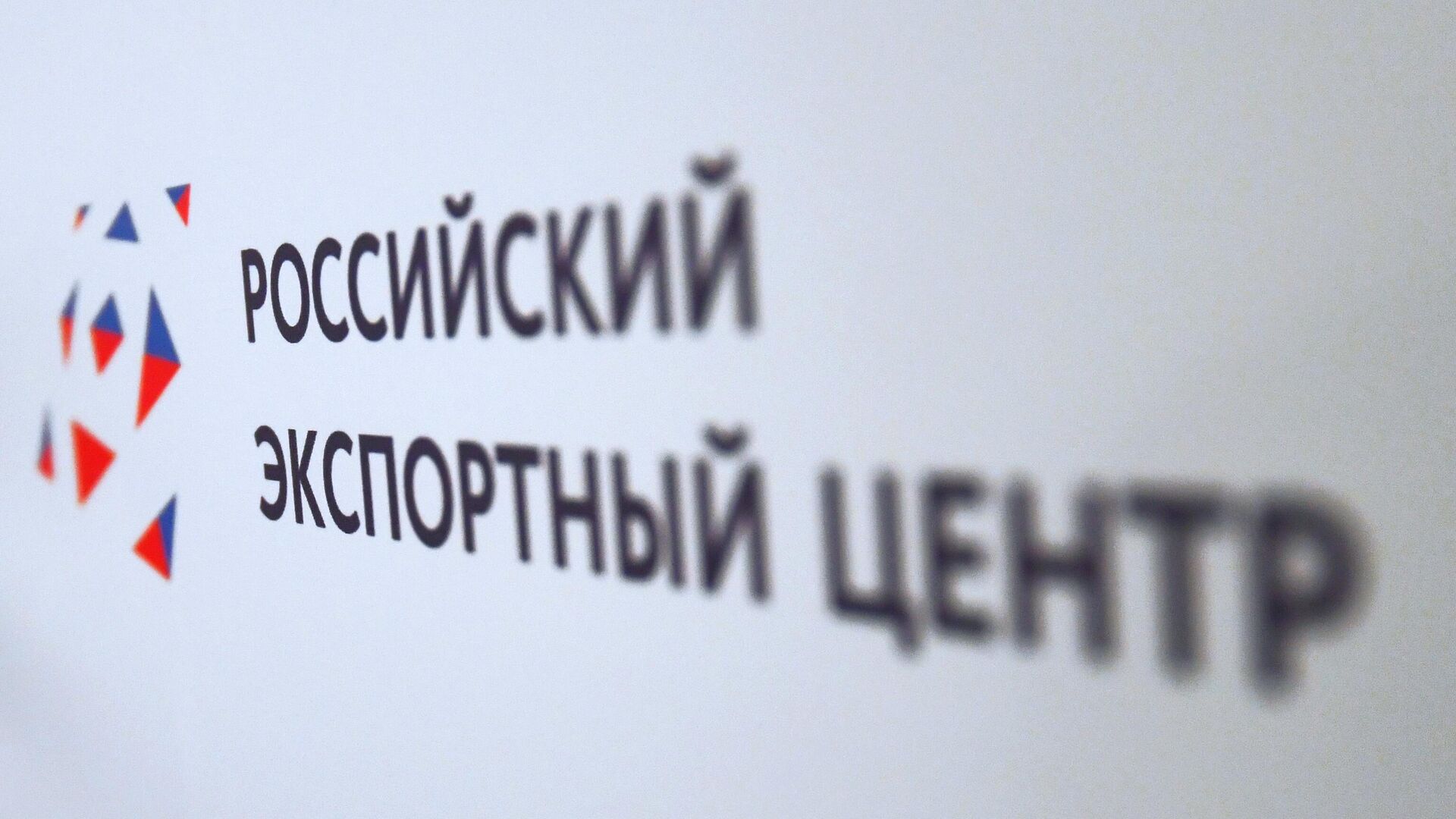 РЭЦ способствует выходу на мировые маркетплейсы